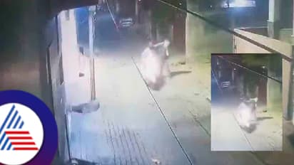 Watch | ಒಂಟಿಯಾಗಿ ಕಂಡರೆ ಕೆನ್ನೆಗೆ ಚಪ್ಪರಿಸಿ ಪರಾರಿ, ಯುವಕನ ವರ್ತನೆ ಕಂಡು ಪೊಲೀಸರೇ ದಂಗು!