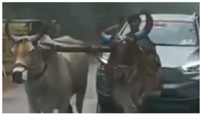 'നേതാവാണ് പക്ഷേ, ഇലക്ട്രിക് കാറിന് അതറിയില്ലല്ലോ...'; ബ്രേക്ക് ഡൌണായപ്പോൾ കെട്ടിവലിച്ചത് കാളകൾ, വീഡിയോ വൈറൽ