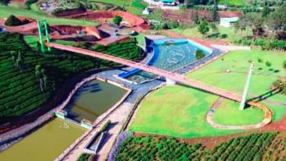 Ooty to host inaugural Winter flower fest, inspired by Bengaluru's Lalbagh show