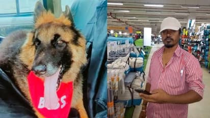 ಮುದ್ದಿನ ನಾಯಿ ಸಾವು ಕಂಡ ನೋವು, ತನ್ನ ಜೀವನವನ್ನೇ ಮುಗಿಸಿದ ಯುವಕ!