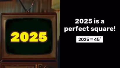 From perfect squares to sum of cubes: HERE's why 2025 is a mathematical year (WATCH)