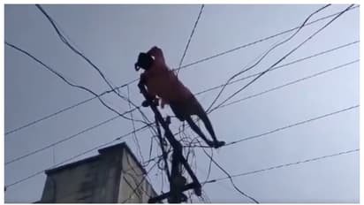 ಹೊಸ ವರ್ಷ ಎಣ್ಣೆ ಮತ್ತಿನಲ್ಲಿ ವಿದ್ಯುತ್ ಕಂಬ ಹತ್ತಿ ಗಡದ್ ನಿದ್ದೆ, ಈತ ಬದುಕುಳಿದಿದ್ದೆ ಪವಾಡ