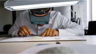 മദ്യപിച്ചെത്തിയതിന് ശകാരിച്ച മുതലാളിയെ പാഠംപഠിപ്പിക്കാൻ യുവാവിന്റെ കടുംകൈ, അറസ്റ്റ്, നഷ്ടമായത് കോടികൾ