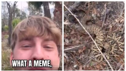 കടിച്ചത് ഏറ്റവും മാരകമായ പാമ്പ്, 'ഞാന് പെട്ടെന്ന്' യുവാവ്, ഇതുവരെ എടുത്തത് 88 കുത്തിവയ്പ്പുകള്; വീഡിയോ വൈറൽ