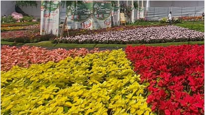 മറൈൻ ഡ്രൈവിലെ ഫ്ലവർ ഷോയിലുണ്ടായ അപകടം; സംഘാടകർക്കെതിരെ കേസെടുത്ത് പൊലീസ്