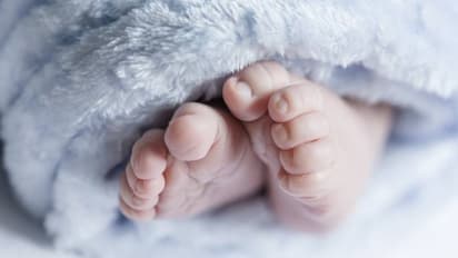 തണുത്തുറഞ്ഞ പ്രഭാതം, പാതയോരത്ത് ഒരു കുഞ്ഞിന്റെ കരച്ചിൽ, അവിടെ തുടങ്ങി, ടാങ് സംരക്ഷിച്ചത് 36 കുഞ്ഞുങ്ങളെ