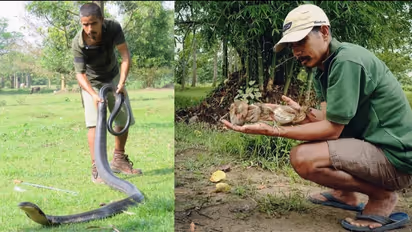 Wildlife Hero: Meet Manoj Gogoi, the Assam man who has rescued over 6000 animals in two decades