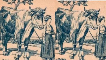 ಈ ಚಿತ್ರದಲ್ಲಿ ಮಹಿಳೆಯ ಪತಿ ಎಲ್ಲಿದ್ದಾರೆ ಅಂತ ಗೊತ್ತಾಯ್ತಾ?