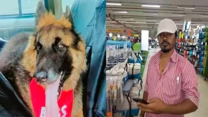 Upset over pet dog's death, Bengaluru man dies by suicide the next day, gets buried near its grave