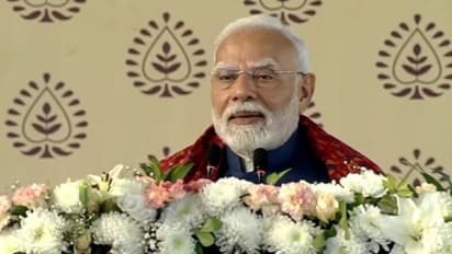 PM Modi calls AAP an 'aapda' for Delhi, accuses Kejriwal of corruption and glorifying it (WATCH)