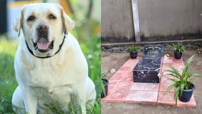 അമ്മു എക്കാലവും ഓർമിക്കപ്പെടും; പൊലീസ് നായക്ക് സ്മാരകമൊരുക്കി സേനയുടെ ആദരം