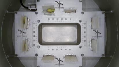 ബഹിരാകാശത്ത് മുളച്ചത് തിരുവനന്തപുരം വിഎസ്എസ്‌സി അയച്ച പയര്‍ വിത്തുകള്‍; അഭിമാന നിമിഷം