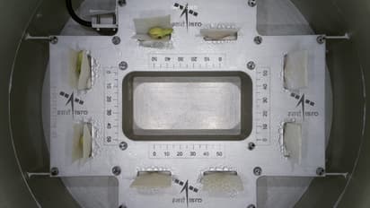 ಇಸ್ರೋ ಗಗನ ಜೀವಾಂಕುರ: ಬಾಹ್ಯಾಕಾಶದ ಶೂನ್ಯ ಗುರುತ್ವದಲ್ಲೂ ಮೊಳಕೆಯೊಡೆದ ಬೀಜ!