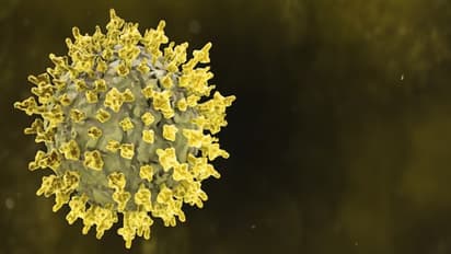 Is HMPV a new pathogen? Why infants and elderly are vulnerable, symptoms and treatment explained