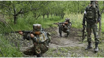 ഛത്തീസ്ഗഡിൽ വീണ്ടും ഏറ്റുമുട്ടൽ; 8 മാവോയിസ്റ്റുകളെ സുരക്ഷാ സേന വധിച്ചു