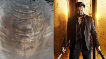 അമ്പോ..ഇതെന്തൊരു പോക്ക്! നേടിയത് 3000 കോടി; റിലീസ് മാർക്കോയ്ക്ക് ഒപ്പം, കളക്ഷനിൽ ഞെട്ടിച്ച് ആ പടം