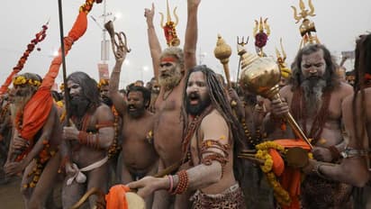 Shri Taponidhi Anand Akhara's majestic procession marks grand entry into Mahakumbh cantonment