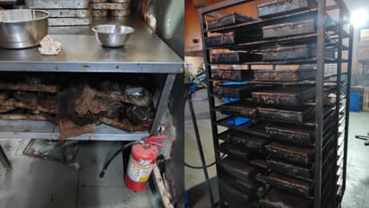 എലി, പാറ്റ, എലികാഷ്ഠം, വൃത്തിഹീനം; ഭക്ഷ്യസുരക്ഷ ഉദ്യോ​ഗസ്ഥർ ഞെട്ടി, മോംഗിനിസിന്റെ ഔട്ട്‌ലെറ്റിൽ മിന്നൽ പരിശോധന