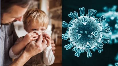 Explainer : HMPV வைரஸ் எவ்வளவு ஆபத்தானது? அறிகுறிகள் என்னென்ன? நோயை எப்படி தடுப்பது?