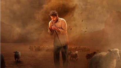 വമ്പൻ നേട്ടത്തിനരികെ ബ്ലസ്സിയുടെ ആടുജീവിതം, വാര്ത്ത പങ്കിട്ട് പൃഥ്വിരാജും