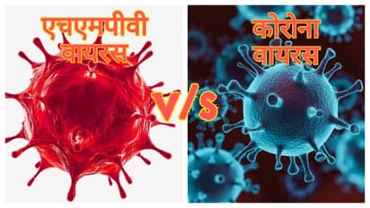 HMPV virus mutate like COVID 19
