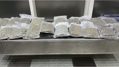 2 സ്ത്രീകളുടെ ബാഗിൽ കണ്ട 19 വാക്വം കവറുകൾ; ബാഗുകൾ കുടഞ്ഞിട്ട് പരിശോധിച്ച് കസ്റ്റംസ്, പിടിച്ചത് 9 കിലോ കഞ്ചാവ്