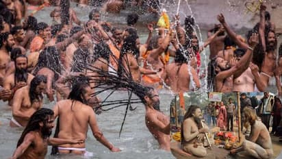 ಸತ್ತ ದೇಹವನ್ನೂ ಬಿಡದ ಅಘೋರಿಗಳು ತಿನ್ನದ ಒಂದೇ ಒಂದು ಆಹಾರ ಮತ್ತು ಸಾಕುವ ಪ್ರಾಣಿ ಯಾವುದು?