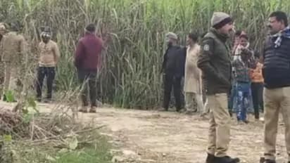 महिलांना नग्न अवस्थेत घेऊन फिरवले