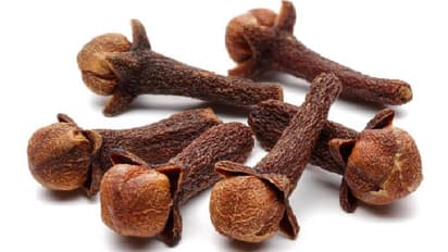 రోజూ లవంగాలు తింటే ఇన్ని అద్భుతాలు జరుగుతాయా?