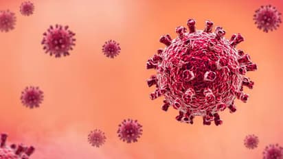 'എച്ച്എംപി വൈറസ് പുതിയതല്ല, മാരകവുമല്ല': അനാവശ്യഭീതി പരത്തരുതെന്ന് ഐഎംഎ 