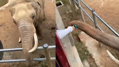 ഡാ കൊച്ചെർക്കാ, ഇന്നാടാ നിന്റെ ചെരുപ്പ്; തീരെ പ്രതീക്ഷിക്കാത്ത കാഴ്ച, ജനങ്ങളെ അമ്പരപ്പിച്ച് ആന