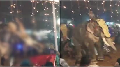 തിരൂർ പുതിയങ്ങാടി നേർച്ചക്കിടെ ആനയിടഞ്ഞു; ഒരാളെ ആന തൂക്കിയെറിഞ്ഞു, തിക്കിലും തിരക്കിലും നിരവധി പേർക്ക് പരിക്ക്