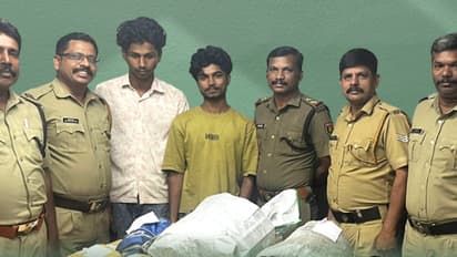 സംശയിക്കാതിരിക്കാൻ യാത്ര കെഎസ്ആർടിസിയിൽ, വാളയാറിൽ കുടുങ്ങി; മലപ്പുറം സ്വദേശികളുടെ ബാഗിൽ 7കിലോ കഞ്ചാവ്, പിടിയിൽ