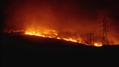 Understanding Santa Ana winds: Weather phenomenon driving wildfires in California (WATCH)