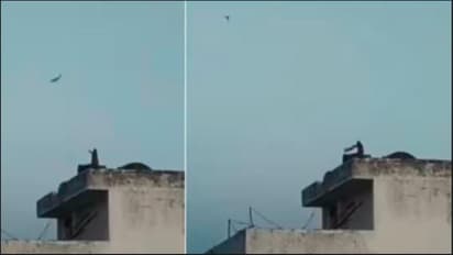 ಸಂಕ್ರಾಂತಿಗೆ ಮೊದಲೇ ಗಾಳಿಪಟ ಹಾರಿಸಲು ಶುರು ಮಾಡಿದ ಕೋತಿ: ವೀಡಿಯೋ ವೈರಲ್