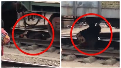 'എഴുന്നേൽക്കരുത്, അവിടെ തന്നെ കിടക്കൂ'; ഗുഡ്സ് ട്രെയിന് അടിയിൽ കിടക്കുന്ന സ്ത്രീയോട് നാട്ടുകാർ, വീഡിയോ വൈറൽ 