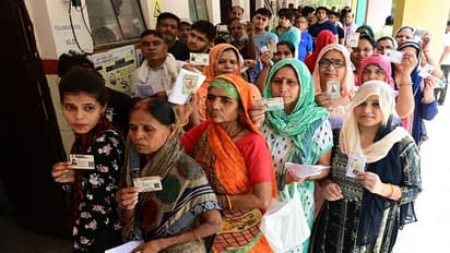 What motivated 1.8 crore women to vote in Lok Sabha elections 2024? SBI Research has the answer
