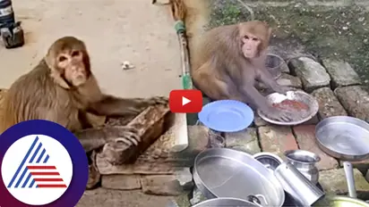 ಏನ್ ಕೆಲ್ಸ ಹೇಳಿದ್ರೂ ಮಾಡತ್ತೆ ಈ ಕೋತಿ... ವಿಡಿಯೋ ನೋಡಿದ್ರೆ ನಮ್ ಮನೆಯಲ್ಲೂ ಇರ್ಬಾದಿತ್ತೇ ಅಂತೀರಾ ನೋಡಿ!