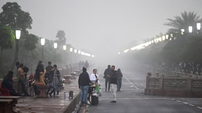 Kolkata Weather LATEST update for Makar Sankranti 2025: Temperature to rise, chance for RAIN? Check HERE