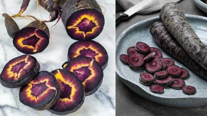 black carrot halwa 10 times more beneficial