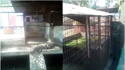 സ്വർണം, കോടിക്കണക്കിന് പണം, വിദേശ കാറുകൾ, മൂന്ന് മുതലകള്‍...; ബിജെപി മുൻ എംഎൽഎയുടെ വീട്ടിൽ ഐടി റെയ്ഡ് 