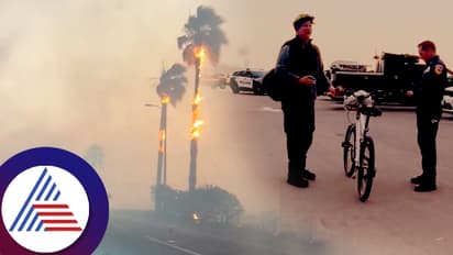 ಅವು ನನ್ನ ಕುಟುಂಬ ದಯವಿಟ್ಟು ಉಳಿಸಿಕೊಡಿ: ಬೆಂಕಿಗೆ ಸಿಕ್ಕ ಶ್ವಾನಗಳ ರಕ್ಷಣೆಗೆ ಕಣ್ಣೀರಿಟ್ಟ ಯುವಕ