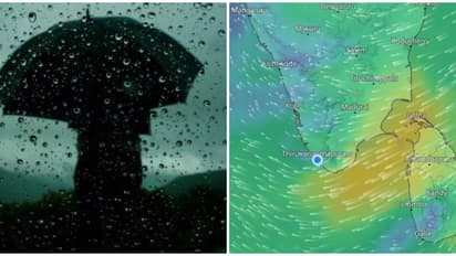 ചക്രവാതച്ചുഴി; നാളെ 10 ജില്ലകളിൽ നേരിയ മഴയ്ക്ക് സാധ്യത, 13നും 14നും ഇടിമിന്നലോട് കൂടിയ മഴ പെയ്തേക്കും