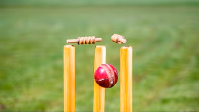 3 stumps