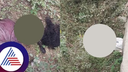 Kolar: ಚೀಲದಲ್ಲಿ ಪತ್ತೆಯಾಯ್ತು ಅಪರಿಚಿತ ಮಹಿಳೆ ಶವ, ಮೃತದೇಹದ ಮುಖ ಕಚ್ಚಿ ತಿಂದ ನಾಯಿಗಳು!