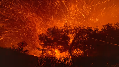 Floods, droughts & fires: What is hydroclimate whiplash that scientists are blaming for California wildfires