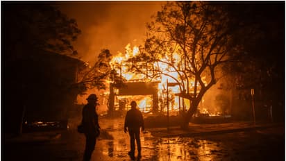 കാട്ടുതീ പടർന്ന് പിടിക്കുമ്പോഴും കൊള്ള നടത്തുന്നവർ! ലോസ് ആഞ്ചലസിനെ മറ്റൊരു വെല്ലുവിളി; 20 പേർ പിടിയിൽ