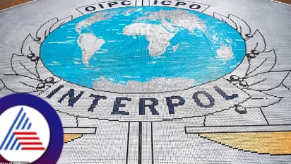 ಅಪರಾಧಿಗಳ ಆಸ್ತಿ ಪತ್ತೆಗೆ ಇಂಟರ್‌ಪೋಲ್‌ ಹೊಸ ಅಸ್ತ್ರ ಪ್ರಯೋಗ, ಏನಿದು ಸಿಲ್ವರ್‌ ನೋಟಿಸ್‌?