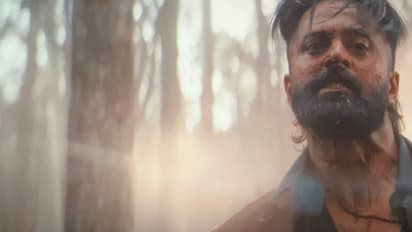 മാര്‍ക്കോ വീഴ്‍ത്തുന്നത് ആരെയൊക്കെ?, ഇന്ത്യൻ കളക്ഷൻ ഞെട്ടിക്കുന്ന തുക, കണക്കുകള്‍ പുറത്ത്