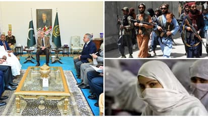 മുസ്ലീം പെൺകുട്ടികളുടെ വിദ്യാഭ്യാസം; ആ​ഗോള ഉച്ചകോടി സംഘടിപ്പിച്ച് പാകിസ്ഥാൻ, മൈൻഡ് ചെയ്യാതെ താലിബാൻ